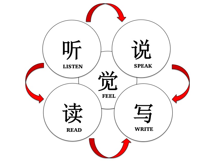 Components of language learning